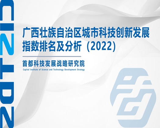 美女插逼电影网【成果发布】广西壮族自治区城市科技创新发展指数排名及分析（2022）